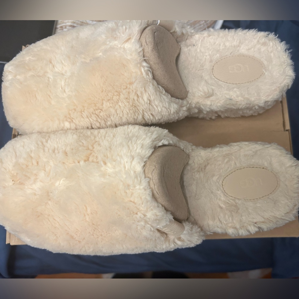 Fuzz Sugar Clogs - image 2